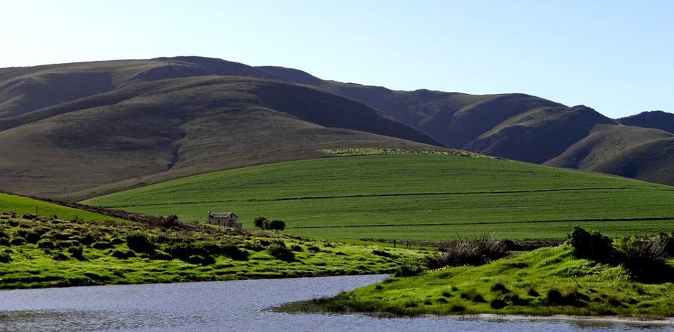Farm dam below green fields and rounded Caledon hills