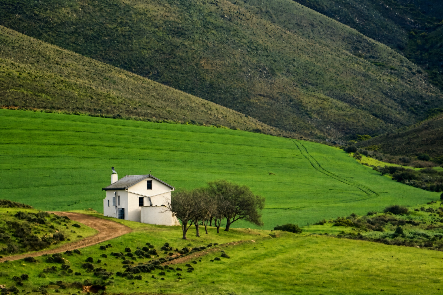 White farm cottage surrounded by green wheat fields and rolling hills